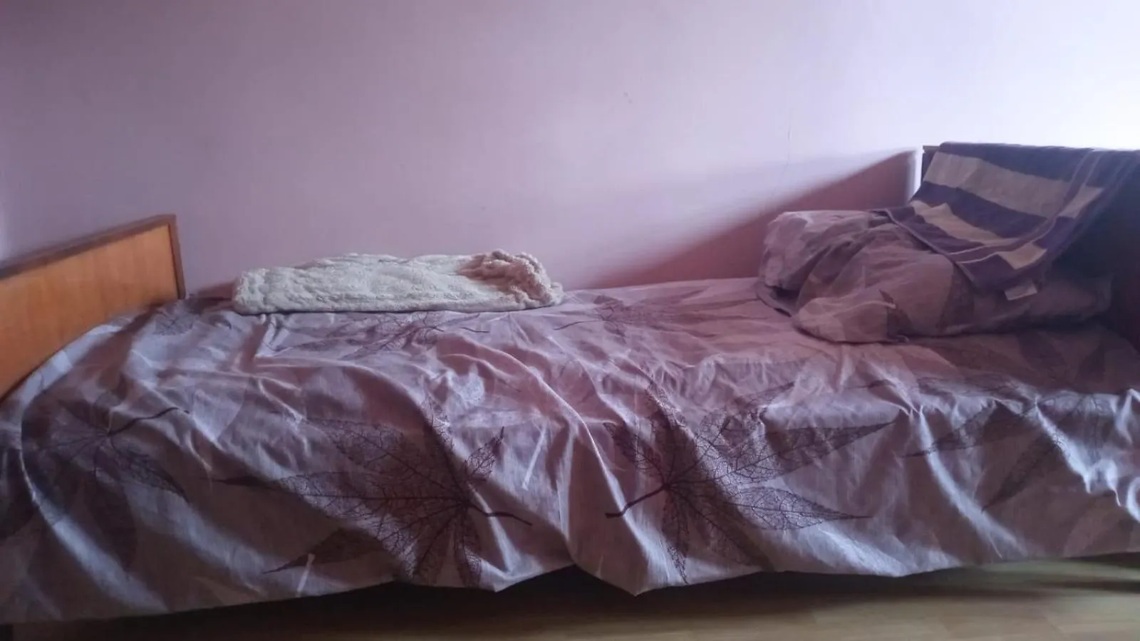 اتصالات Paradise Hostel 
